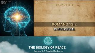 Your Brain Needs a Gospel Update (Romans 12:2 Explained by Science)