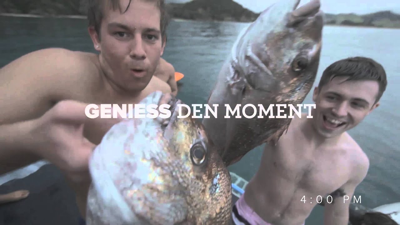 new zealand currency Bay of Islands - Strände und Lagerfeuer