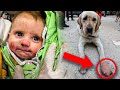 كلب ينقذ الطفل من الركام في تركيا على حساب حياته !!