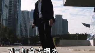 Koowheel 第二代電動滑板Kooboard 2018款