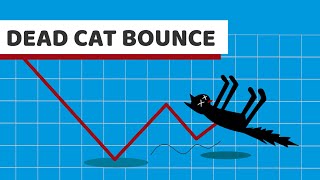 How to trade with Dead Cat Bounce (DCB) - Technical Analysis for Stocks and Cryptos | BitScreener
