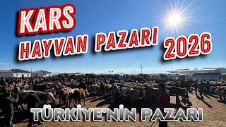 2026 Kars Hayvan Pazari Ne Ararsan Var I