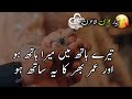 New Love Shayari Pyar Bhari Poetry Urdu Poetry Romantic Poetry Urdu Shayari New Love Shayari Pyar Bhari Poetry Urdu Poetry Romantic Poetry Urdu Shayari