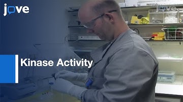 Assaying The Kinase Activity Of LRRK2 In Vitro l Protocol Preview