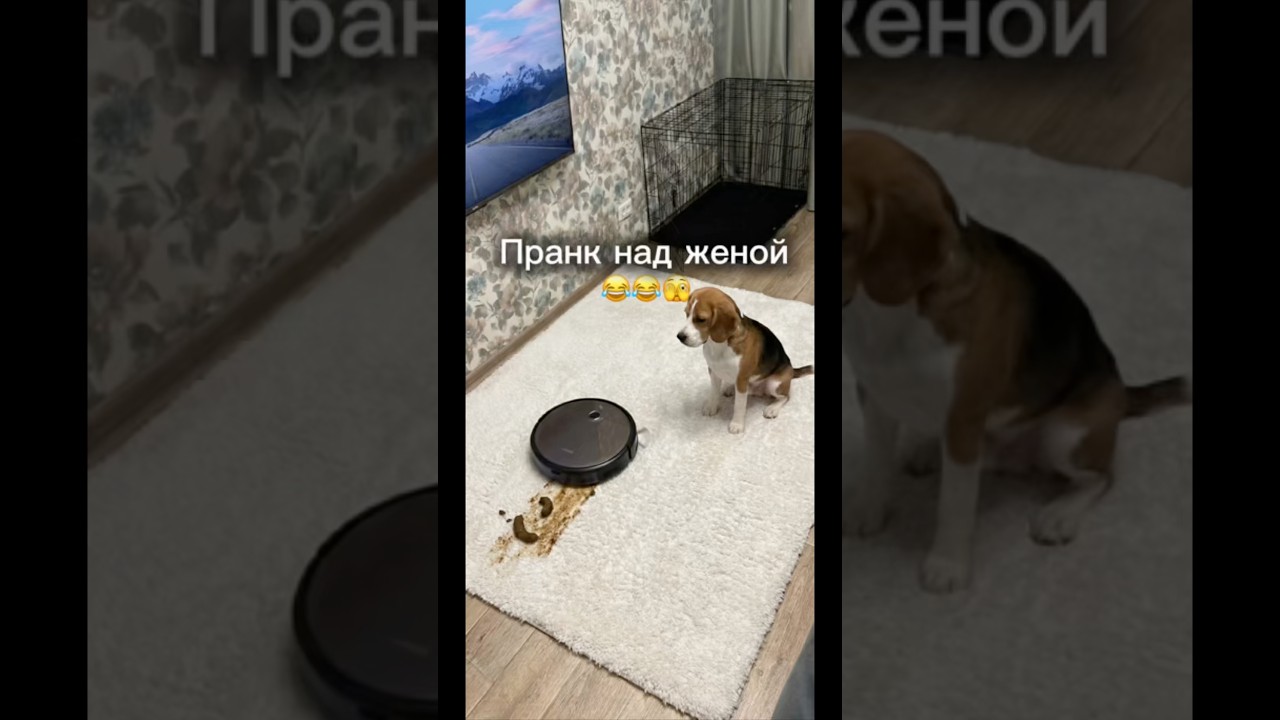 С таким мужем НЕ ЗАСКУЧАЕШЬ😱😨🤣 Но нейтрализатор реально вещь! Брала на вб: 