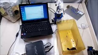 Telefipho Gcamp 칼슘 신호 검출