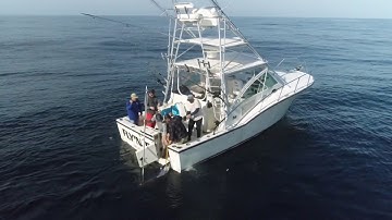 2019December Swordfishing