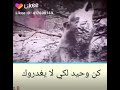 لا صديق لا حبيب لا عشرة عمر لا حب وذكر لا كلشي نسونه وعيرونه مع الاسف محد وفه 