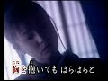 夢落葉    瀬川瑛子   カバー 王瑞德