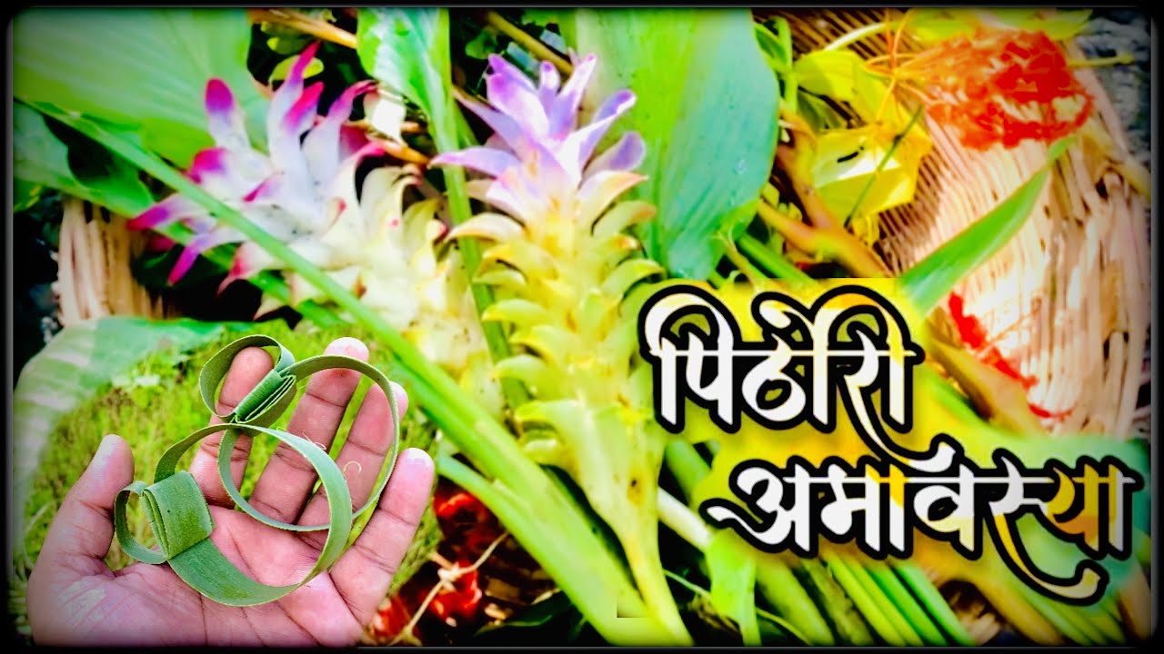 Chala Pithori Anayla🪔🌿🍁(Balegav)//pithori amavasya