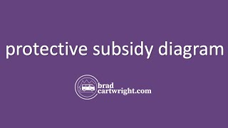 Subsidy Diagram  |  Protectionist Subsidy  |  Protective Subsidy  | IB International Economics