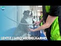 Lentiz | MBO Middelharnis item Bouwen Aan De Toekomst S05E06; Werk &amp; Inkomen