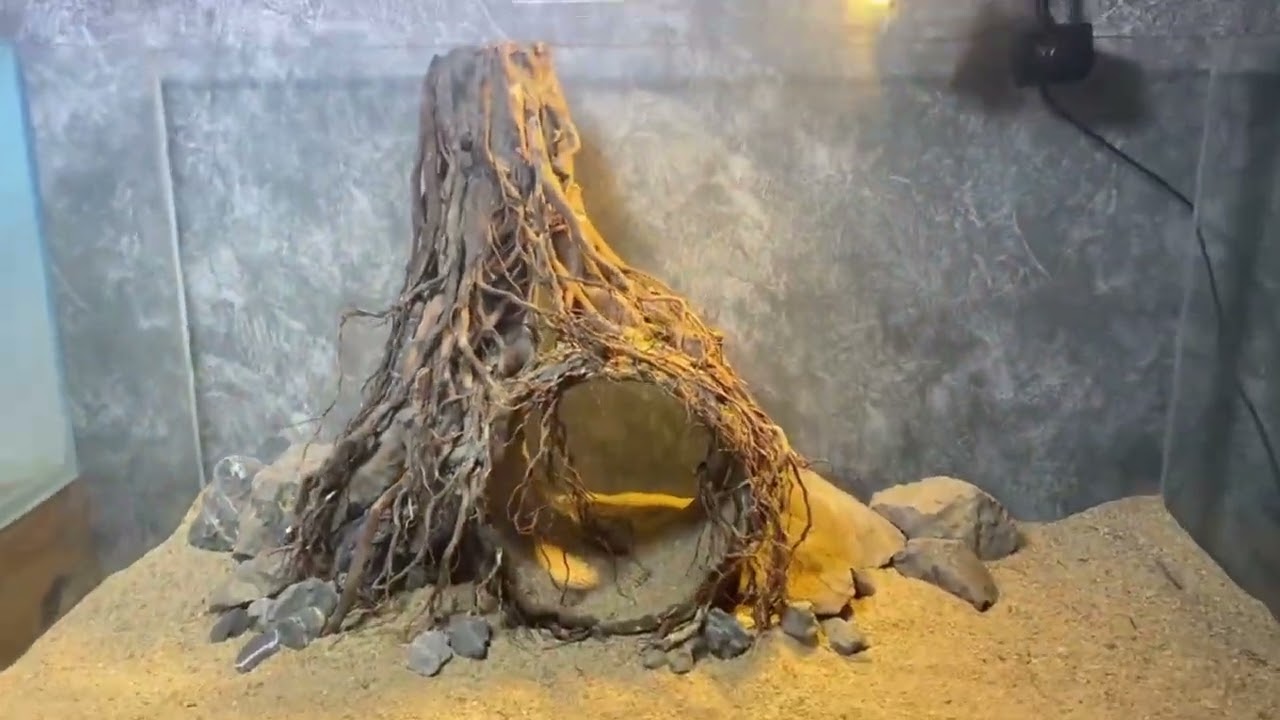 Driftwood aquarium cave drift wood bonsai tree aquascaping fish tank decor