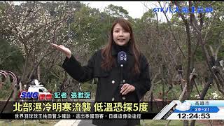 寒冬賞花趣 士林官邸梅花悄綻放 八大民生新聞 2021010606
