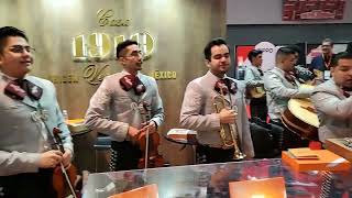 Casa 1910 Cigars  @TotalProductExpo #TPE23 Mexican Mariachi Band. #DGCCTV