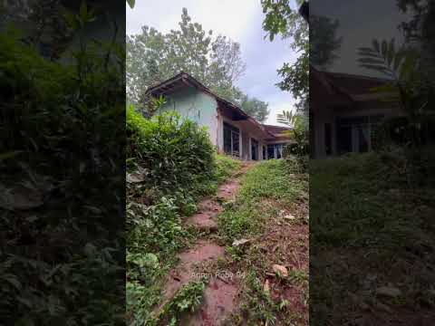 Menyusuri Kampung di Pagi Hari
