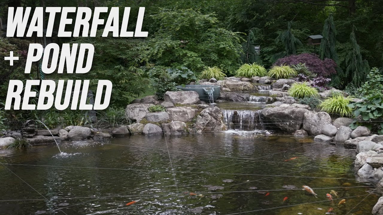 From Frustration to Tranquility | Rebuilding A Brand New Pond