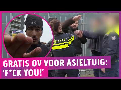 Enforcement too dangerous, bad behavior rewarded with free public transport: ‘Outrageous!’