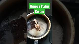 Umpan Ikan Patin Kolam #shorts