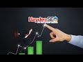 At hayden seo were committed to your success