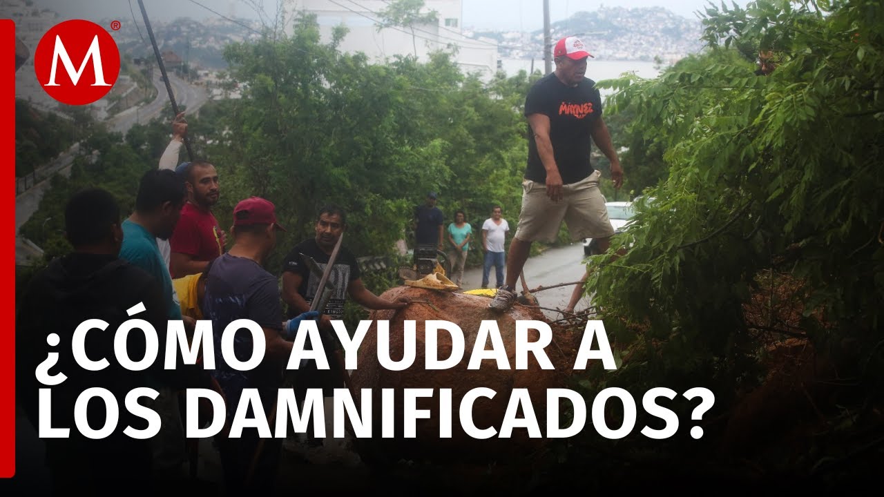 En estos centros de acopio para apoyar a los damnificados del huracán ...