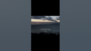 سوره النبإ القارئ احمد حمادي #غزة_تجوع