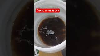 сахарная брага плюс меласса