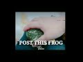 POST THIS FROG