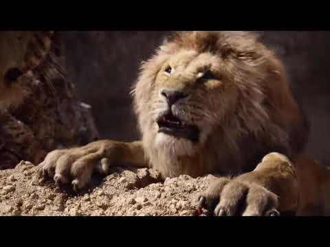 Video: Lunga Vita Al Re: Assemblaggio A Livello Cromosomico Del Leone (Panthera Leo) Usando Dati A Lettura Collegata, Hi-C E Lettura Lunga