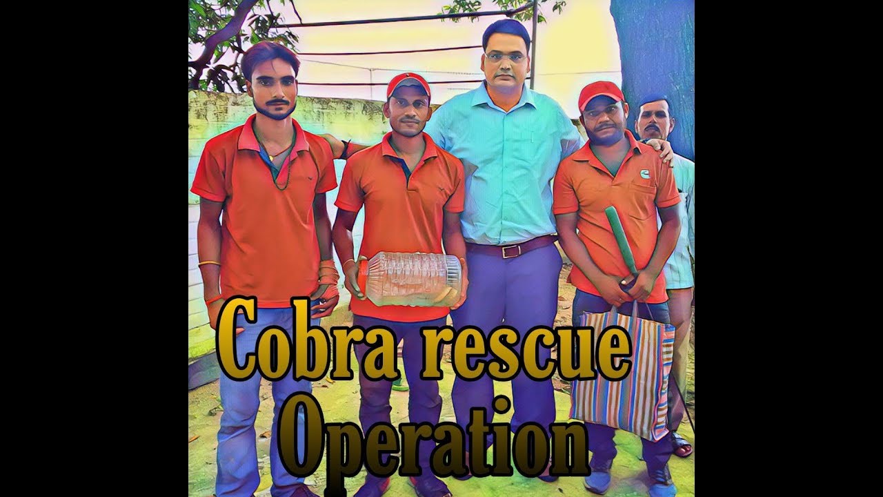 snake rescue team Cobra rescue at D.F.O residency at Munger