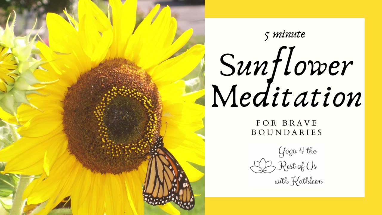 Sunflower Meditation for Brave Boundaries