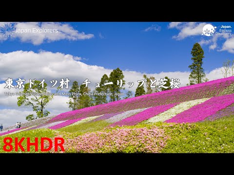 関東周辺四季の花巡り 関東周辺四季の花巡り 関東周辺四季の花巡り Panoramic Flower