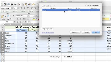 How to Custom Sort on Excel : Using Microsoft Excel
