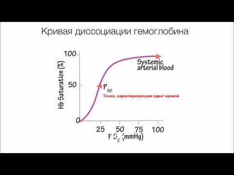 Ярошецкий А. И. Дыхательная недостаточность. Кислотно-основное состояние и газы крови.