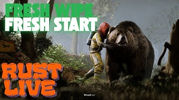 Fresh Wipe, Fresh Start 🚀 | Rust Live