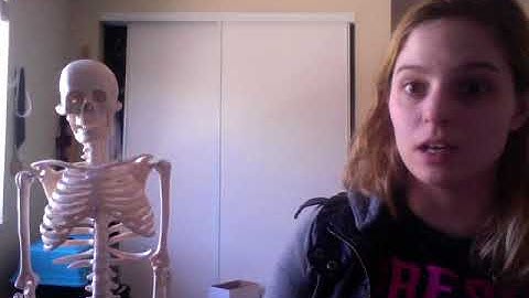 Bone Video- Axial Skeleton Part 2