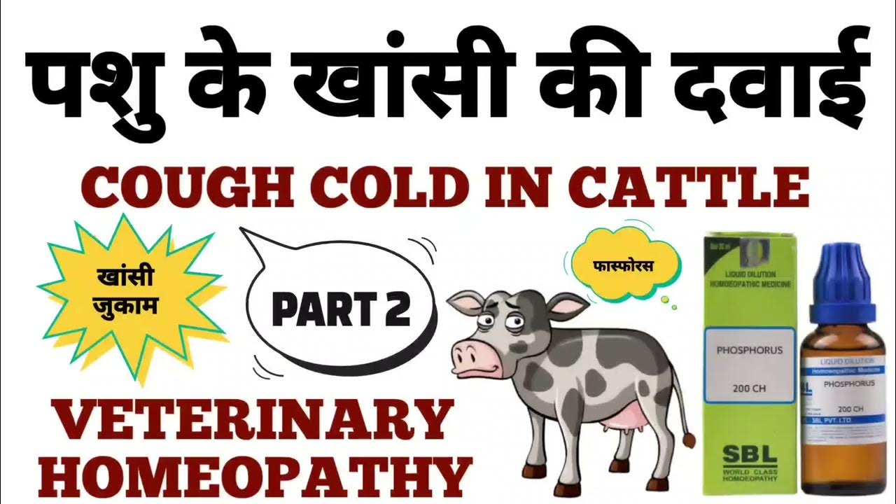 Cough Cold Homeopathic Medicine For cough-cold-homeopathic-medicine-for
