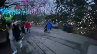 Christmas Lights at Cincinnati Zoo  January 2021