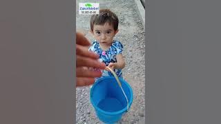 ZakazMebel 90.985-85-86 #mushuklar #mushukchalar #chaqaloqlar