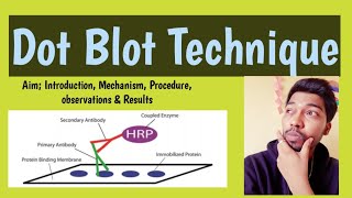 Dot Blot Technique|Protein Identification|Aim|Principle|Theory|Protocol|Result|Rohit Shankar Mane Profile