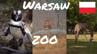 #1 Польша. Варшавский зоопарк. Незабываемые животные. Warsaw Zoo #1 Польша. Варшавский зоопарк. Незабываемые животные. Warsaw Zoo