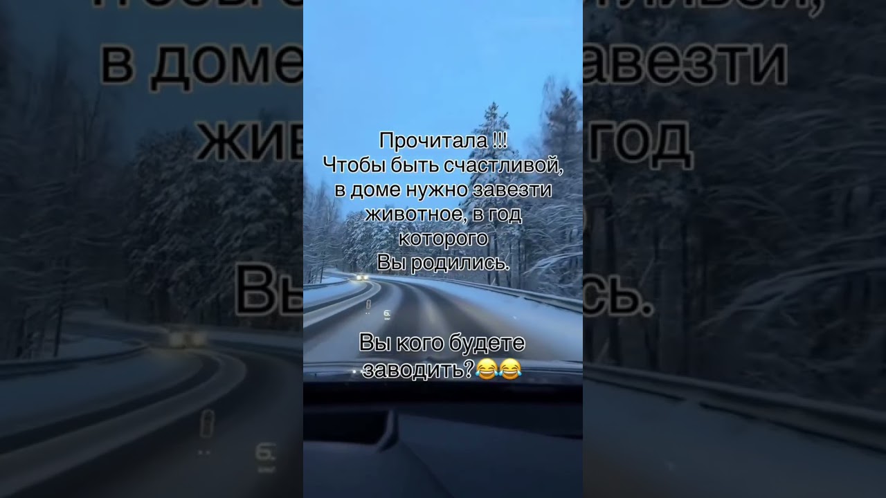 Вот подвох 🫣😁😁