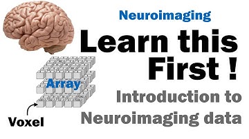 Learn this first for neuroimaging: Introduction to MRI neuroimaging data for Neuroscience | part 1