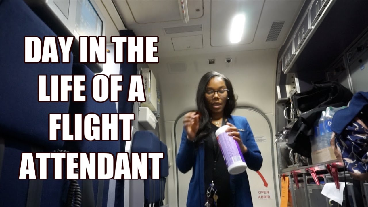 Day In The Life of a Flight Attendant | Flying a Turn + Cleaning the Galley