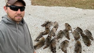 Trapping Late Season Raccoons