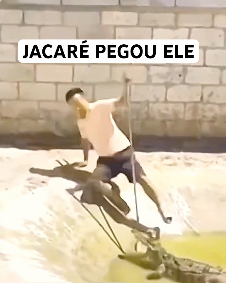 O JACARÉ PEGOU ELE #shorts