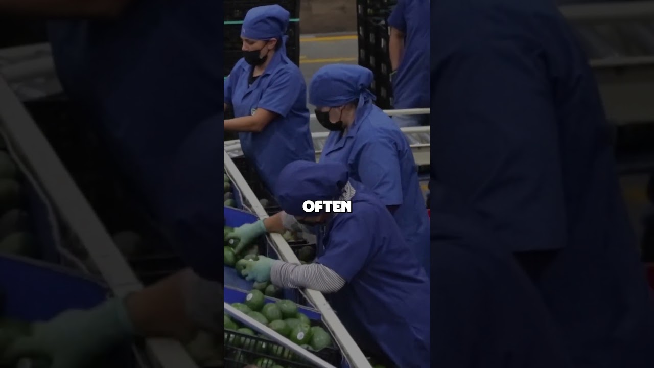 The Avocado Industry Has a Dark Side... But the Fruit Isn’t the Problem