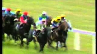 Horse Racing 1984  Haydock Sprint Petong