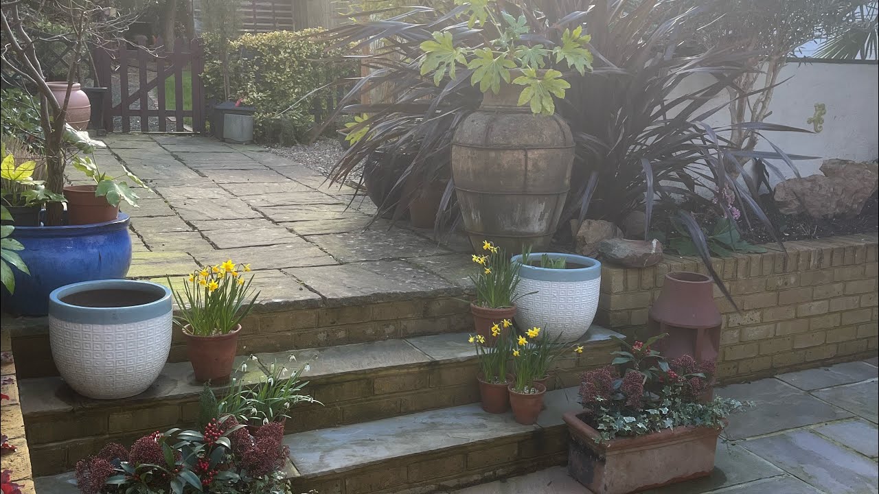 Gardening 