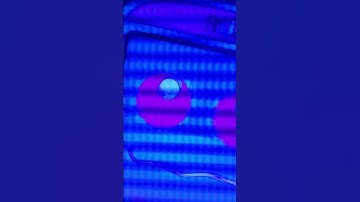 Shark bus jellyfish electric module 10.0